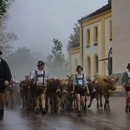 Lucky Guy Oberstaufen