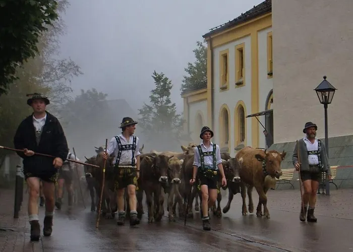 Lucky Guy Oberstaufen